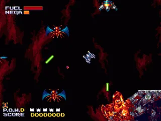 I hate this nasty insects...