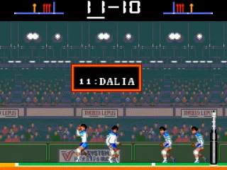 Whenever a player successfuly blocks or spikes, he celebrates.