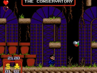 Flying fishes in the conservatory