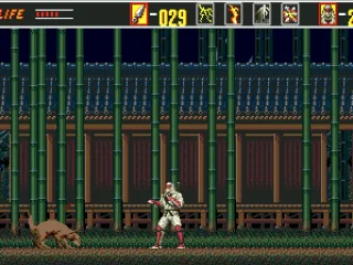 Here, boy... that's a good dog...