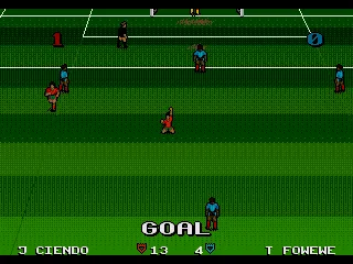 A player celebrating.