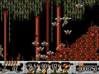 Lots of insects are coming from the hive