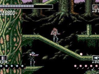 I feel better as a wolf