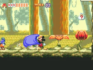 You can jump into the flowers and eat those interrogation signs