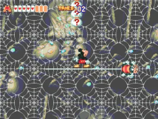 You should follow the spider, unless you want to fall down and die