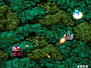 I love how green the foliage is this time of year in Low Ridge.