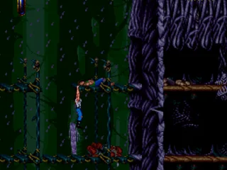 The second area - a primeval forest