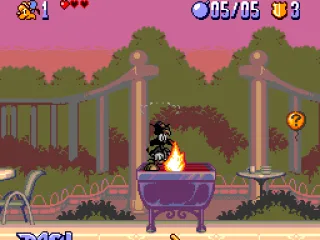 Bonkers is grilled for valuable information