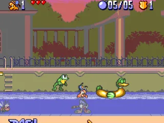 Playing with toy ducks, Bonkers?