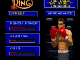 Create-A-Boxer; modifying general attributes.