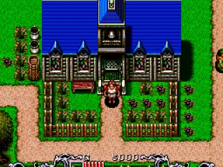 In front of a blue house