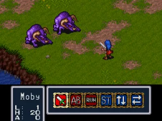 Random battle against two pigs... or whatever they are.