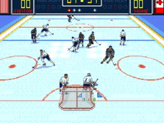 The goalie has the puck