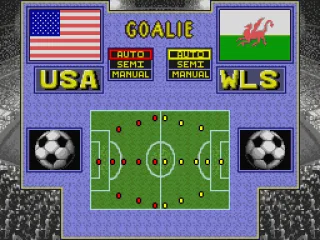 Is the goalie control automatic, semi-automatic or manual?