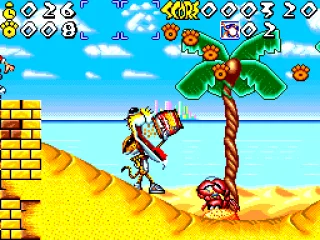 Cheetah eats cheetahs on a beach