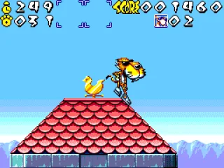 Cheetah on the roof!