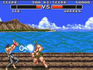 Your first battle. Joe resembles Ryu so much that he even throws energy balls against his enemies saying almost the same thing (something like 'douken).