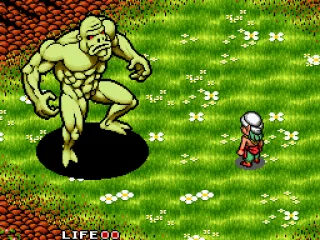 Fighting a monster on the overworld