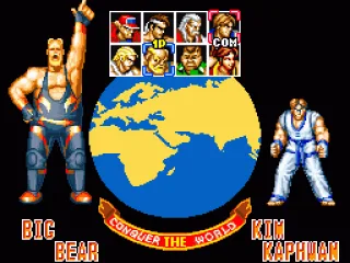 Select your fighter (out of 8 available) and your first competitor