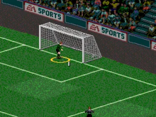 The goaltender couldn't stop that penalty kick...