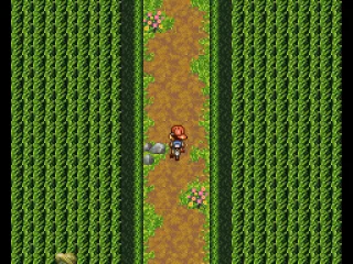 On a bicycle, through the fields...