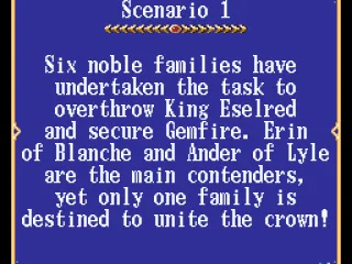 Scenario description