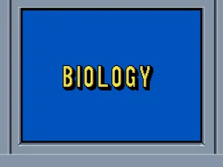 Closeup of a category