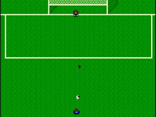 Practicing kicking the penalty kick