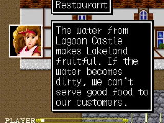 Talking to restaurant owner