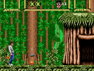 Arriving at a native village