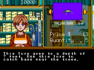 A description of the lure