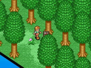 Found a healing flower