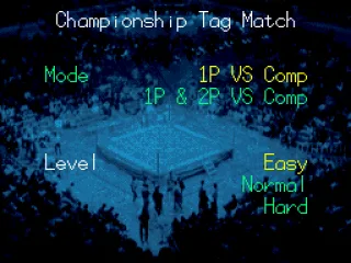 2 Player Co-op in Championship Tag Match