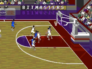 Crowded around the net