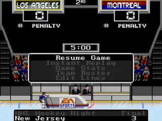 During intermissions, the game will flash up randomly generated scores from other action in the league, and even sometimes show you a highlight or two.