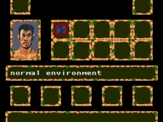 The enviroment is normal.