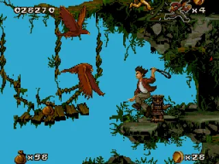 These birds can be very dangerous