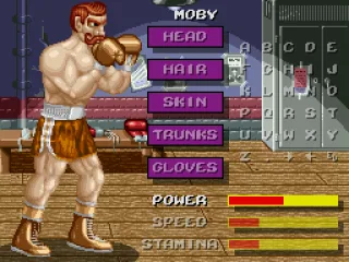 Create your own boxer.