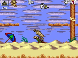 Using a beach chair to bounce Spunky into the air