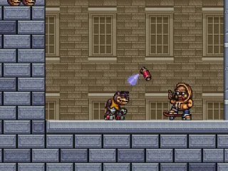 Rocky gets his first haircut.