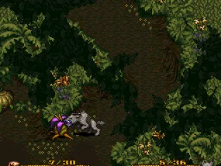 Dog proves to be an excellent fighter