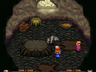 Village Leader's Hut