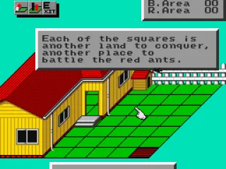 Overview of the whole yard