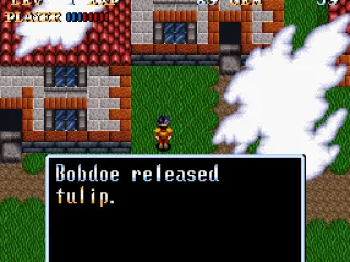 When you free plants, animals and people, parts of the town rebuild.