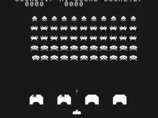 Black & white screen - the most classic of four screen types.