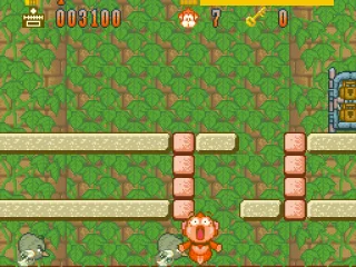 The speedy kiwis got us!