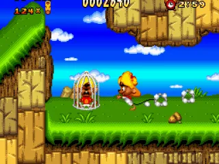 One of the poor mice, trapped in a cage