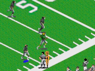 Sometimes the game camera zooms in on a play