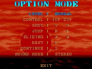 Options. Choose difficulty, number of lives, continues etc.
