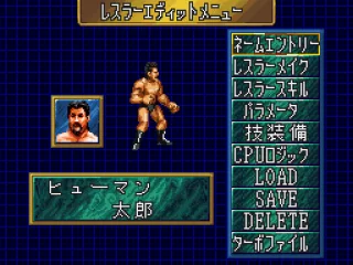 CAW menu. Makes a lot more sense with the English fan-patch